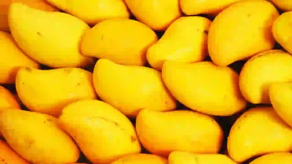 Why shouldn't we drink water immediately after eating a mango?