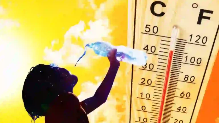 What should be done to survive the summer heat?